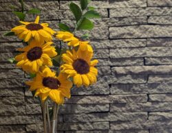 8月の夏季休業のお知らせ